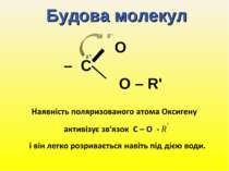 Будова молекул O – C O – R'