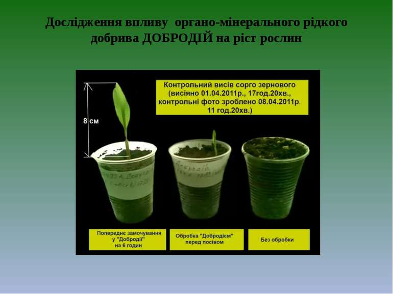 Дослідження впливу органо-мінерального рідкого добрива ДОБРОДІЙ на ріст рослин