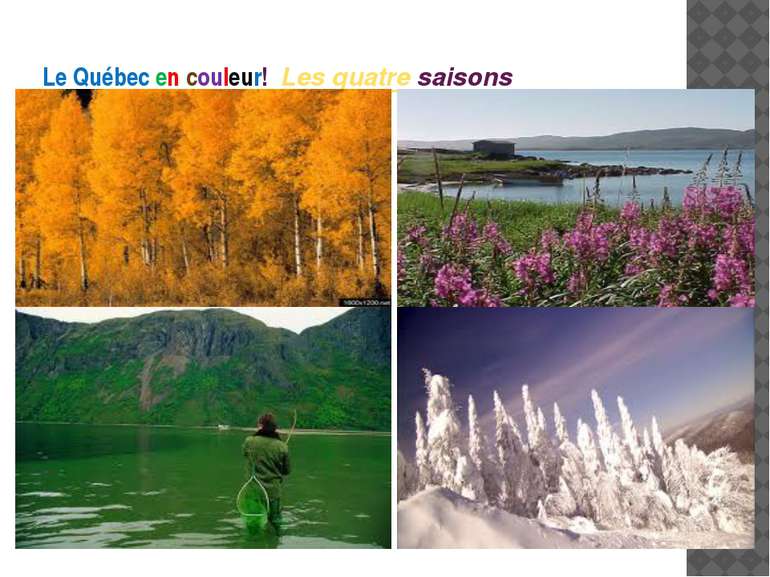 Le Québec en couleur! Les quatre saisons