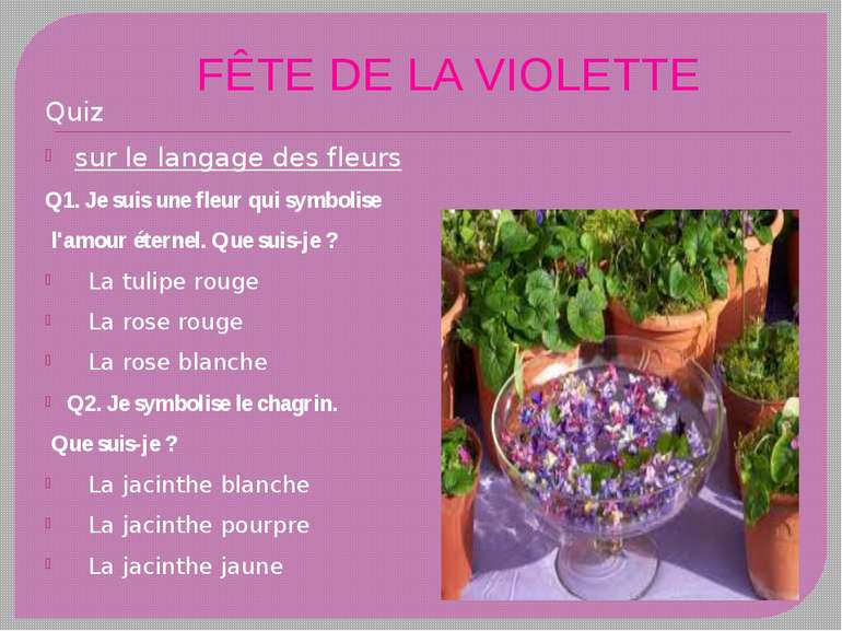 FÊTE DE LA VIOLETTE Quiz sur le langage des fleurs Q1. Je suis une fleur qui ...