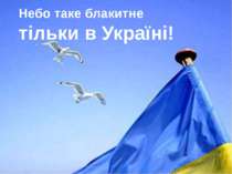 Небо таке блакитне тільки в Україні!