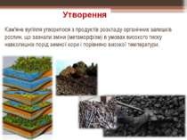 Кам'яне вугілля утворилося з продуктів розкладу органічних залишків рослин, щ...