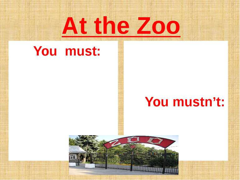 At the Zoo You must: You mustn’t: