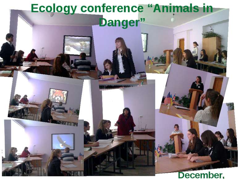 December, 18 Ecology conference “Animals in Danger”
