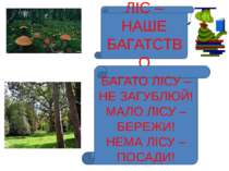 ЛІС – НАШЕ БАГАТСТВО БАГАТО ЛІСУ – НЕ ЗАГУБЛЮЙ! МАЛО ЛІСУ – БЕРЕЖИ! НЕМА ЛІСУ...