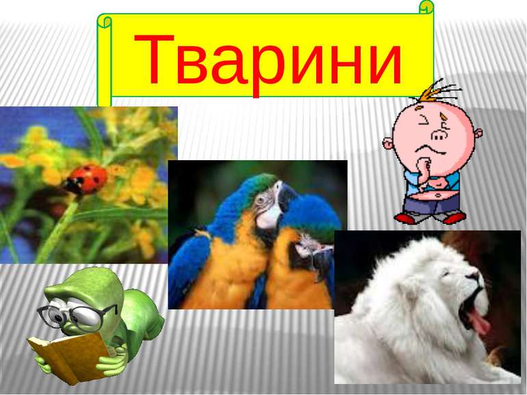 Тварини