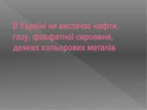 В Україні не вистачає нафти, газу, фосфатної сировини, деяких кольорових металів