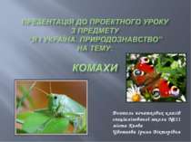 Поняття про клас комах