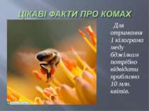 Для отримання 1 кілограма меду бджілкам потрібно відвідати приблизно 10 млн. ...