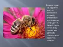 Бджоли,термі-ти, мурашки можуть передавати отриману інформацію за допомогою т...