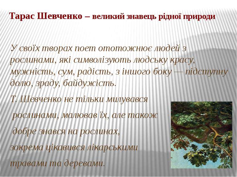 Тарас Шевченко – великий знавець рідної природи У своїх творах поет ототожнює...