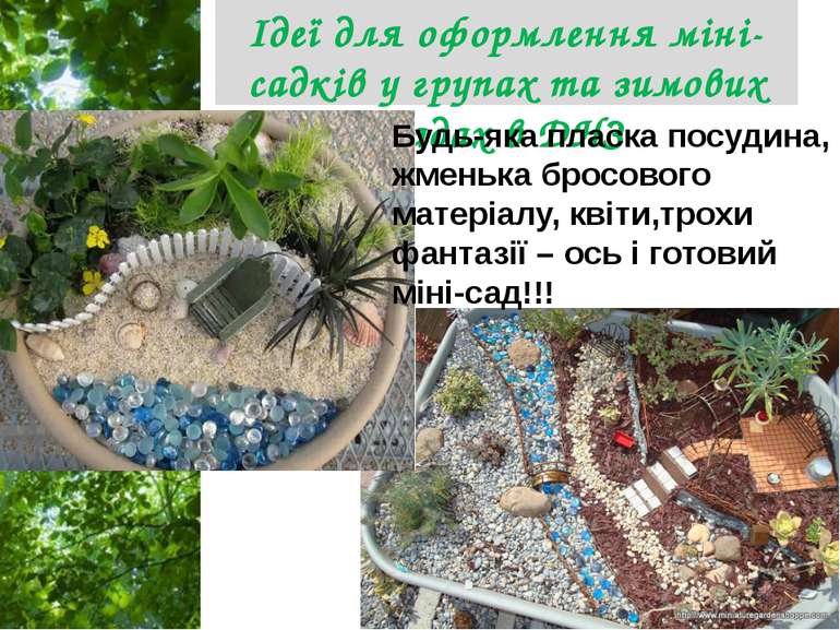Ідеї для оформлення міні-садків у групах та зимових садах в ДНЗ Будь-яка плас...
