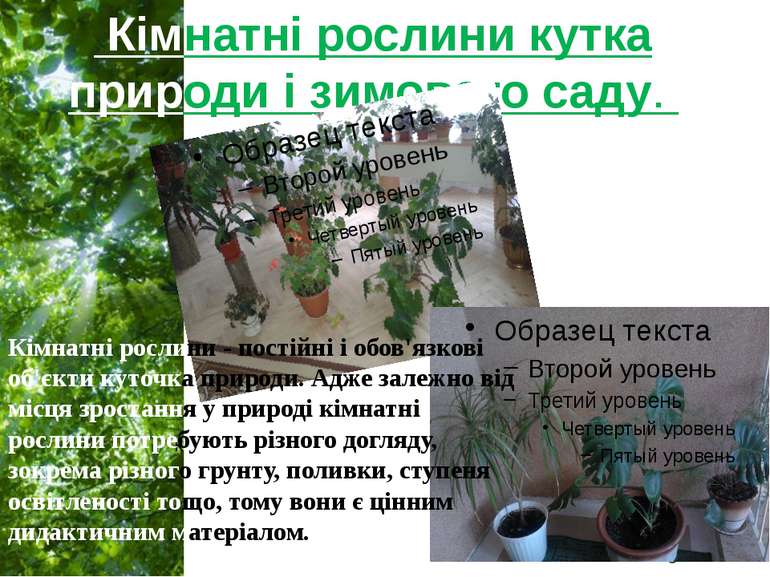 Кімнатні рослини кутка природи і зимового саду. к Кімнатні рослини - постійні...
