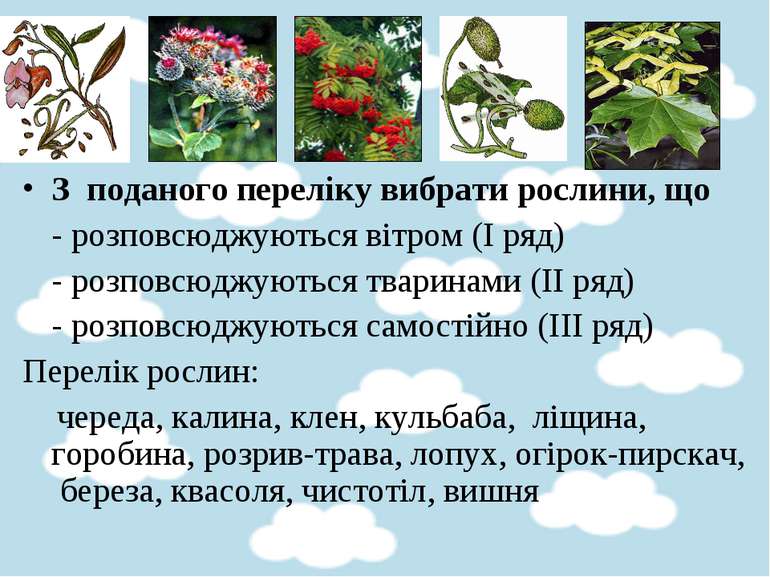 З поданого переліку вибрати рослини, що - розповсюджуються вітром (І ряд) - р...