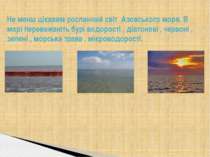 Не менш цікавим рослинний світ Азовського моря. В морі переважають бурі водор...