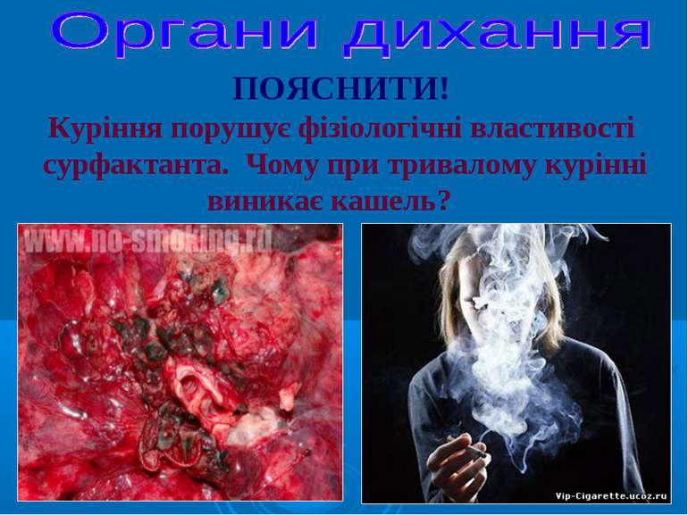 Куріння порушує фізіологічні властивості сурфактанта. Чому при тривалому курі...
