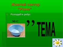 Жовтий сектор “Різне” Розгадайте ребус М=С