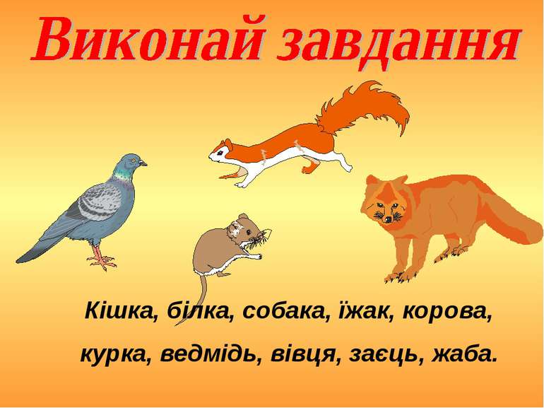 Кішка, білка, собака, їжак, корова, курка, ведмідь, вівця, заєць, жаба.