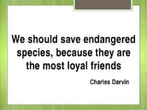 We should save endangered species, because they are the most loyal friends Ch...