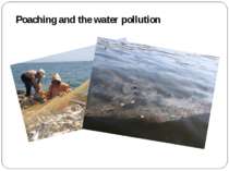 Poaching and the water pollution