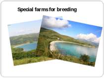 Special farms for breeding
