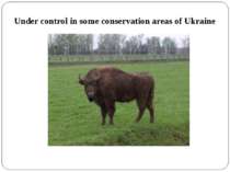 Under control in some conservation areas of Ukraine