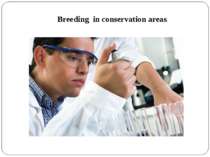 Breeding in conservation areas.