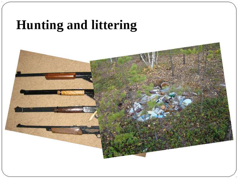 Hunting and littering