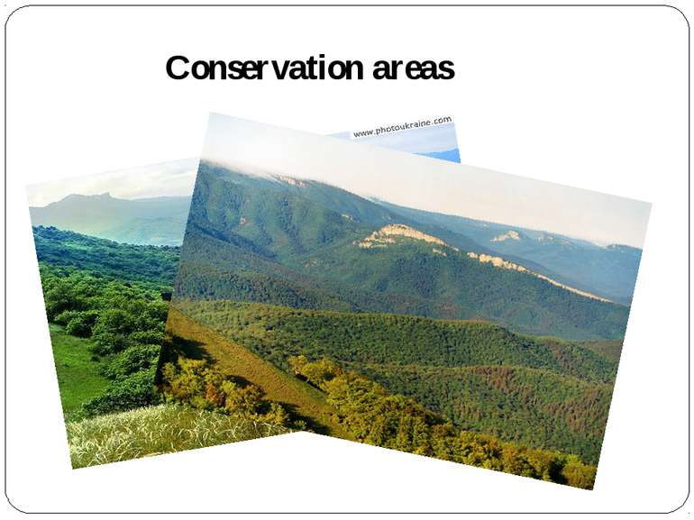 Conservation areas