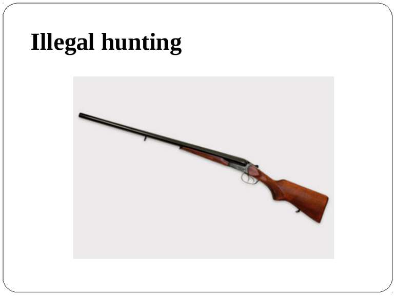 Illegal hunting