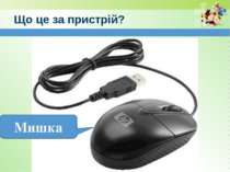 www.teach-inf.at.ua Що це за пристрій? Мишка