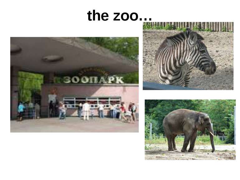 the zoo…