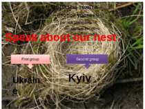 Speak about our nest First group Second group Ukraine Kyiv