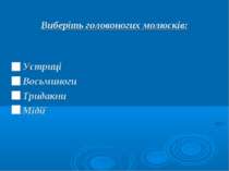 Виберіть головоногих молюсків: Устриці Восьминоги Тридакни Мідії