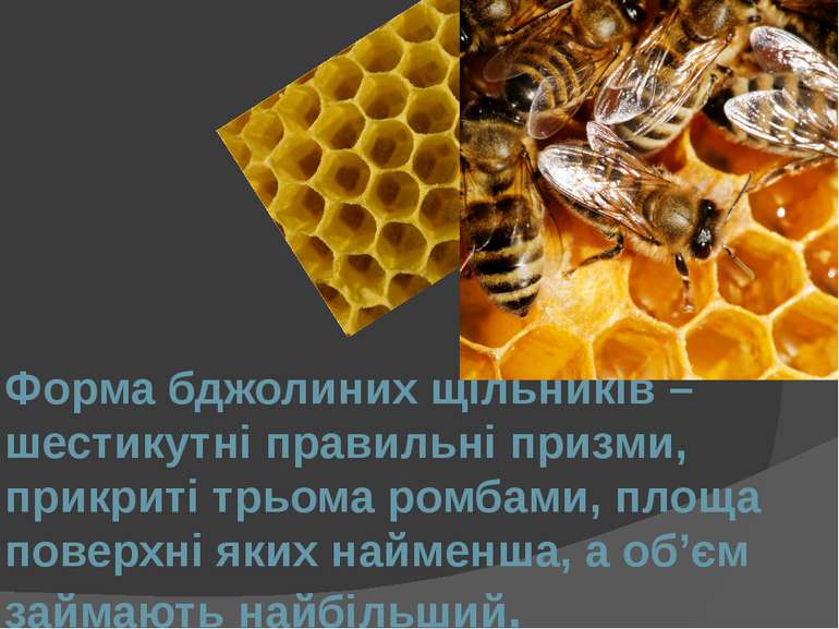 Форма бджолиних щільників – шестикутні правильні призми, прикриті трьома ромб...