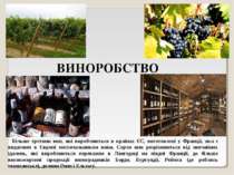 ВИНОРОБСТВО Більше третини вин, які виробляються в країнах ЄС, виготовлені у ...