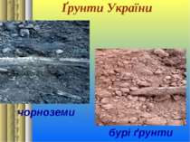 Ґрунти України чорноземи бурі ґрунти