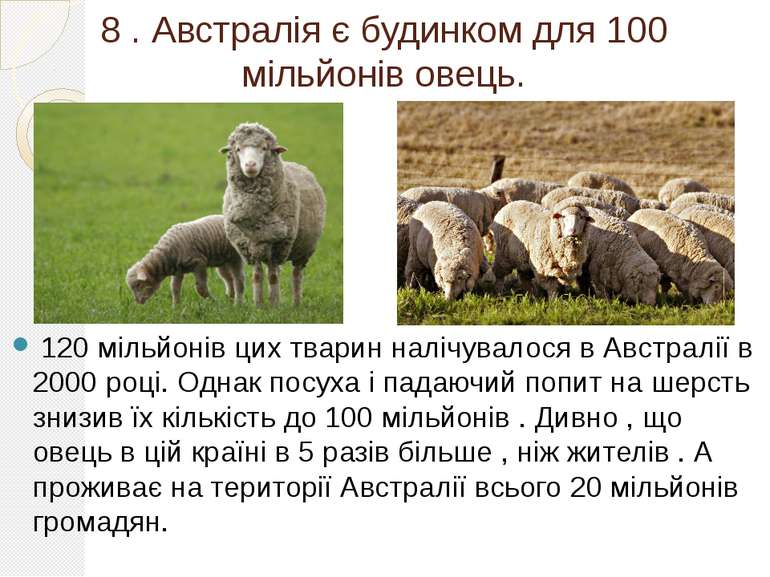 8 . Австралія є будинком для 100 мільйонів овець. 120 мільйонів цих тварин на...