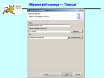 Обрання веб-сервера — Tomcat Spring
