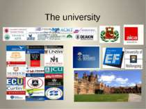 The university