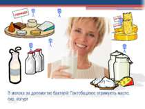 З молока за допомогою бактерій Лактобацілюс отримують масло, сир, йогурт З мо...