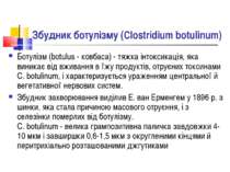 Збудник ботулізму (Clostridium botulinum) Ботулізм (botulus - ковбаса) - тяжк...