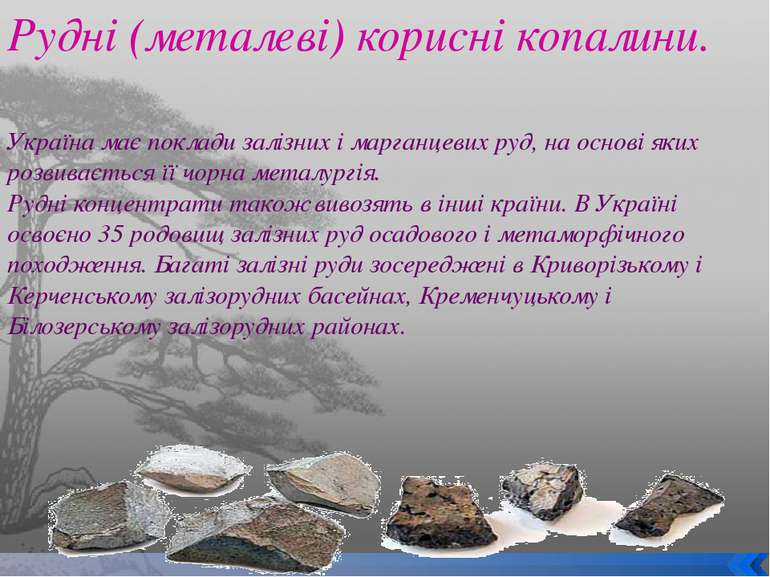 Рудні (металеві) корисні копалини. Україна має поклади залізних і марганцевих...