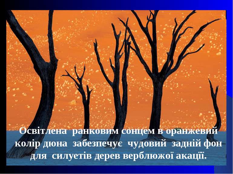 Освітлена ранковим сонцем в оранжевий колір дюна забезпечує чудовий задній фо...