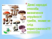 Деякі народні способи визначення отруйності грибів,  якими не слід користуват...