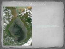 Озеро Маракайбо Озеро тектонічного походження. З´єднується з Карибським морем...