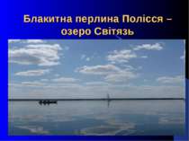 Блакитна перлина Полісся – озеро Світязь