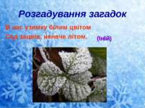 Розгадування загадок В нас узимку білим цвітом Сад зацвів, неначе літом. (Іній)