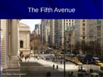 The Fifth Avenue