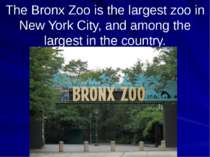 The Bronx Zoo is the largest zoo in New York City, and among the largest in t...